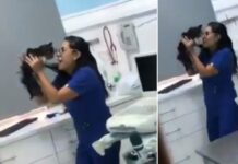 Veterinaria baila tiernamente con un gatito y el video viral causa furor en redes sociales