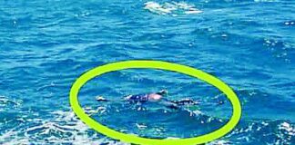 Hallan cuerpo de joven ahogado en la playa Yacila