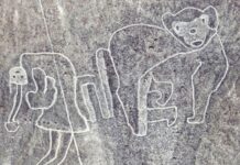 ¿Cuántas figuras hay en Nasca?
