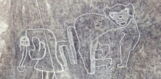 ¿Cuántas figuras hay en Nasca?