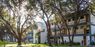 Becas Sinersa en UDEP: Cristalizando sueños escolares desde la energía eléctrica