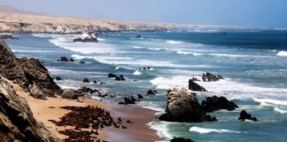 GORE Piura busca que zona reservada de Illescas sea reserva nacional