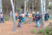 Comuneros y comuneras de la meseta andina son capacitados en manejo de bosques