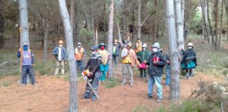 Comuneros y comuneras de la meseta andina son capacitados en manejo de bosques