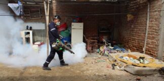 Diresa fumiga más de 820 viviendas en A.H. López Albújar e Ignacio Merino