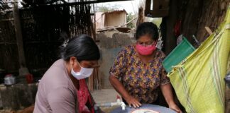 Diresa realiza con éxito recojo y eliminación de criaderos de zancudos en el tallán