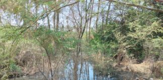 Canal Miguel Checa recibe aguas servidas de cámaras de bombeo averiadas
