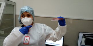 Laboratorio de DIRESA procesa 90 pruebas moleculares diarias de covid-19