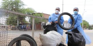 DIRESA PIURA realizará jornada de recojo de criaderos en asentamientos Santa Julia y Túpac Amaru