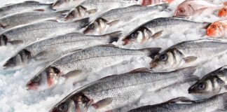 Alimentos que te ayudan a combatir el frío y evitar un resfriado