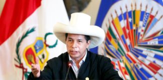 Presidente Castillo: Las Fuerzas Armadas son el enemigo de quienes buscan destruir el Perú y su memoria