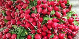 8 razones para tomar-comer rábanos