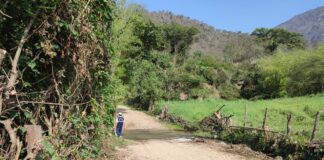 GORE lanza convocatoria para ejecutar expediente técnico de carretera Chulucanas – Frías