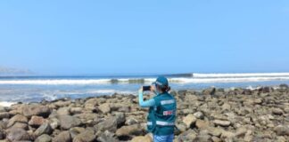 Derrame de petróleo: ¿Cuál es el estado ambiental de la zona afectada?