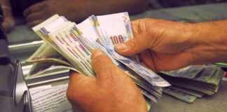 Remuneración Mínima Vital: ¿Incremento populista?