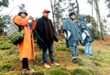 Mediante convenio entre el Gore y UNP tesistas llegaron a la meseta andina