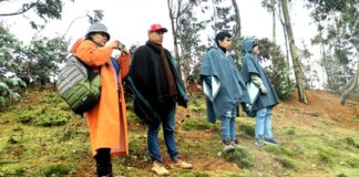 Mediante convenio entre el Gore y UNP tesistas llegaron a la meseta andina