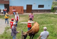 Proyecto ganadero llega a 64 distritos de la región