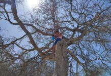 Alumna convierte árbol en salón de clases por falta de internet y de colegios en el desierto de Sechura