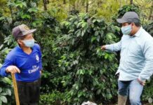 18 mil productores de la región se beneficiarán con PIP Café Orgánico
