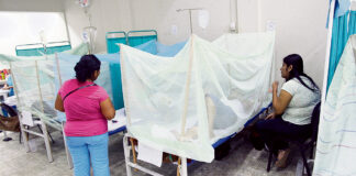 Incrementan a 20 el número de fallecidos por dengue