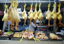 INDECOPI advierte que el precio del pollo sube en los mercados, a pesar de exoneración