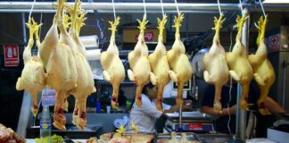 INDECOPI advierte que el precio del pollo sube en los mercados, a pesar de exoneración