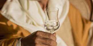 Pisco peruano ganó 33 medallas en festival Europeo