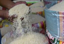 Piura: Precio de arroz subirá a 4 soles el kilo