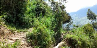 Iniciarán construcción de canales de riego en Chalaco en beneficio de 500 agricultores