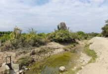 Gobierno Regional colocará primera piedra para construir canal de riego en Cruceta