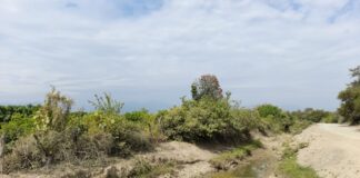 Gobierno Regional colocará primera piedra para construir canal de riego en Cruceta