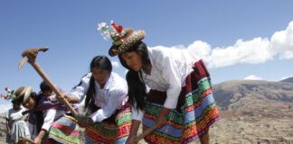 Día del Campesino: ¿Cómo les afecta la crisis económica?