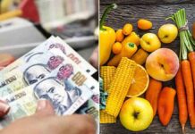 Gobierno Central anuncia entrega de bono alimentario