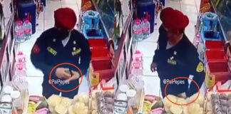 Moquegua: Policía es captado robándose una palta
