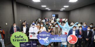 Inicia temporada de avistamiento de ballenas jorobadas de la Antártida