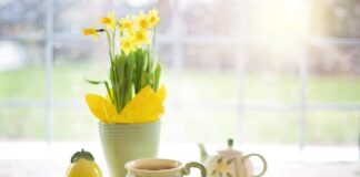Cinco ideas para darle a tu casa un toque primaveral