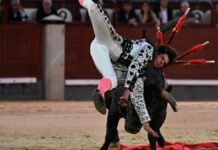 España: Torero recibió fuerte cornada cuando entró a matar un animal