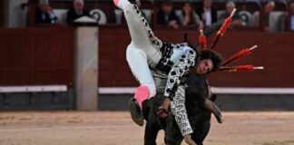 España: Torero recibió fuerte cornada cuando entró a matar un animal