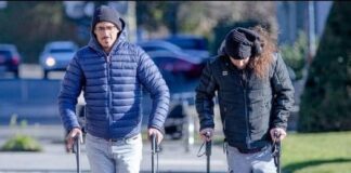 Identifican las neuronas que permiten volver a caminar tras una lesión medular