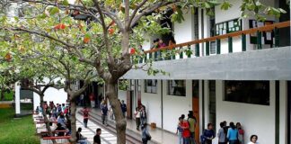 Ofrecen becas para estudiar educación en la Universidad de Piura