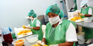 GORE solicita apoyo a ministro ante cierre del mercado chileno al mango Edward