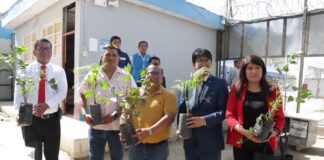 MPP entrega 100 plantones a centro juvenil Miguel Grau