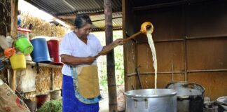 Quince expertos en la elaboración de chicha de jora participarán del I Festival “A Chichalud Piura”