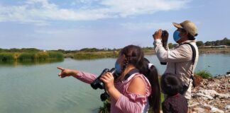 Elevarán humedales de Santa Julia a nuevo sitio Ramsar del Perú