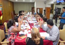 Pleno de Consejo aprueba ordenanza a favor de la primera infancia