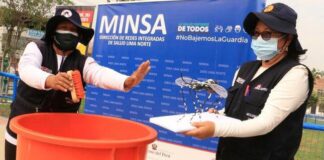 Dengue: Cómo ataca, sus síntomas y recomendaciones para prevenirlo