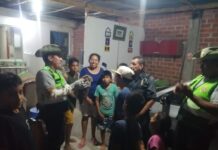 Serenazgo y policía rescatan a Búho en peligro de extinción
