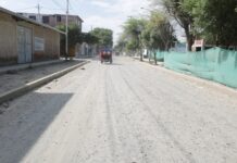 Municipio proyecta cambio de tecnología en pistas de la Av. Las Flores