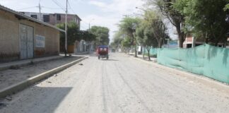 Municipio proyecta cambio de tecnología en pistas de la Av. Las Flores